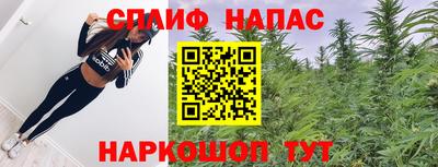 МДПВ Новокубанск