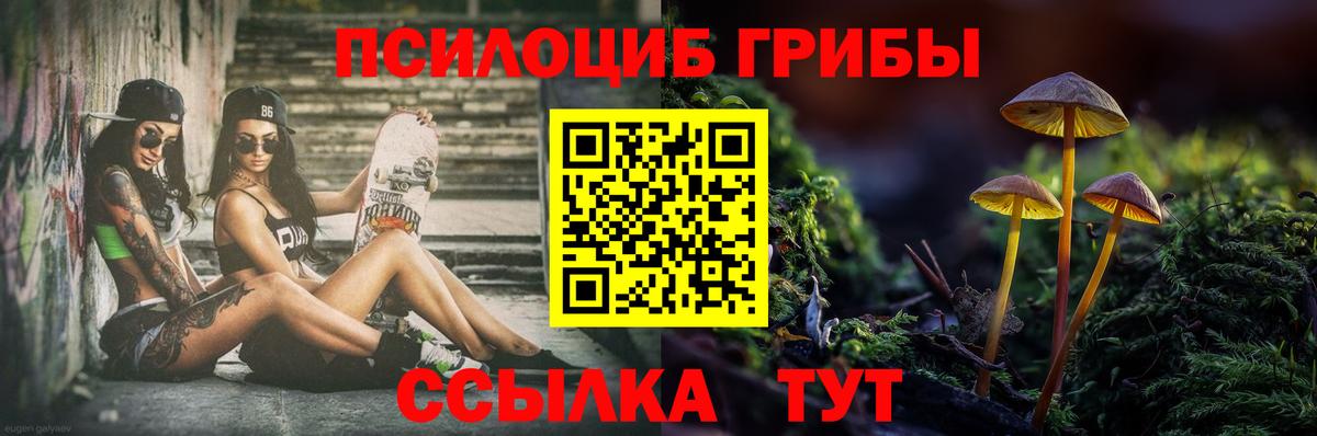 Ртищево  Галлюциногенные грибы Magic Shrooms  Вход с VPN  Галлюциногенные грибы Cubensis 